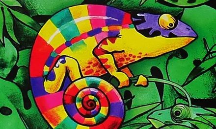 Homoludicus nos trae Coloretto, Mamma Mia y Matamoscas