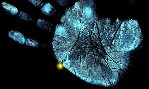«Fringe» (J.J. Abrams, 2008)