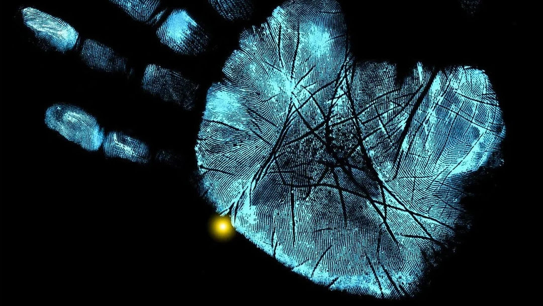 «Fringe» (J.J. Abrams, 2008)