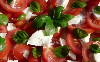 Ensalada de trailers