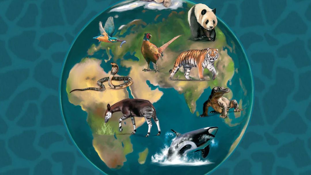 Homoludicus nos traerá «Fauna»