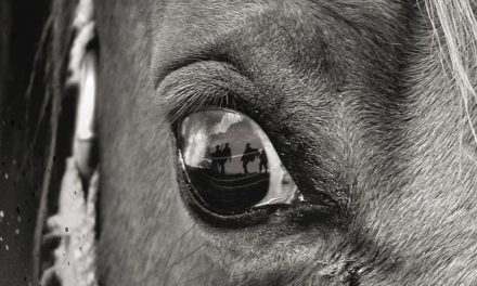 Noguer presenta «Caballo de batalla»