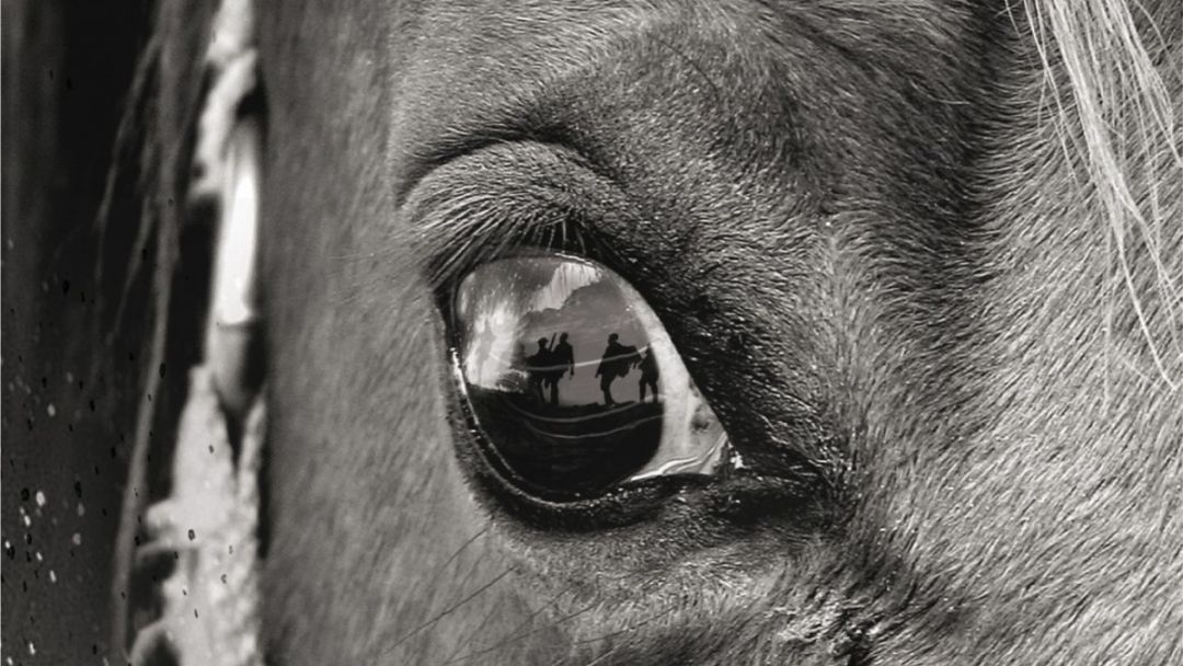 Noguer presenta «Caballo de batalla»