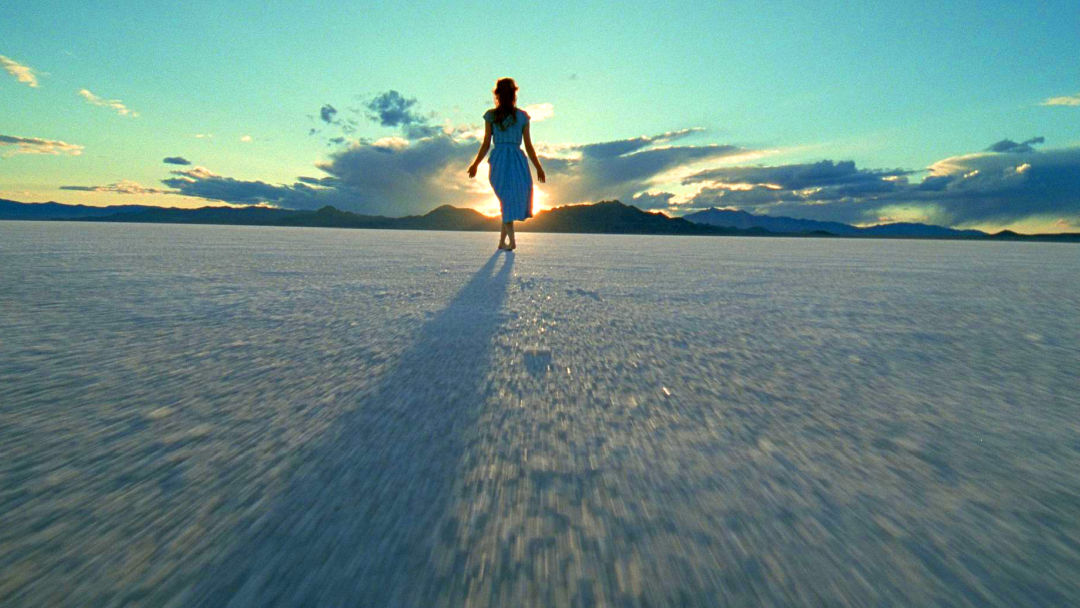 Una Palma de Oro para Terrence Malick