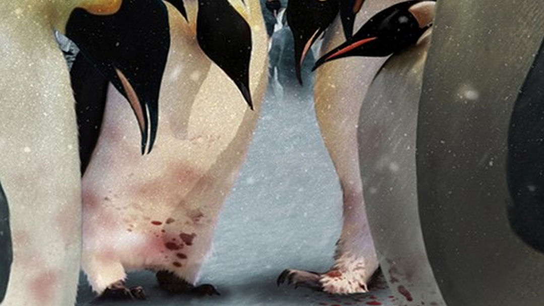 «Los pingüinos también se ahogan» (Steve Redwood, Ediciones Torre de Marfil)