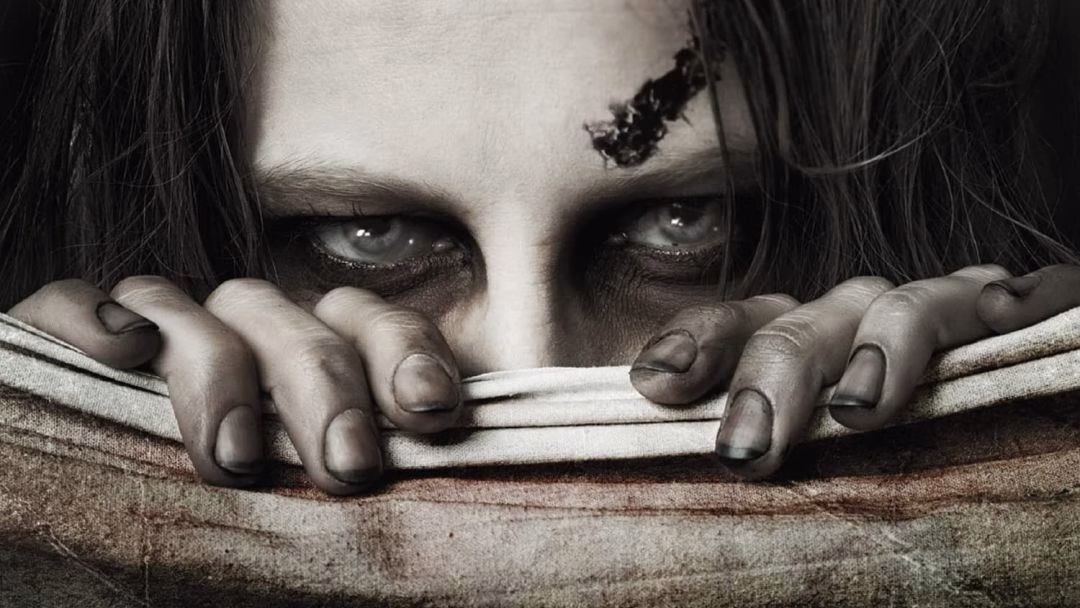 «Pandemia» (Wayne Simmons, Dolmen Editorial)
