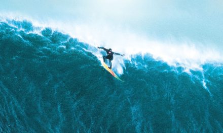 «Persiguiendo Mavericks»: Vivir como Jay