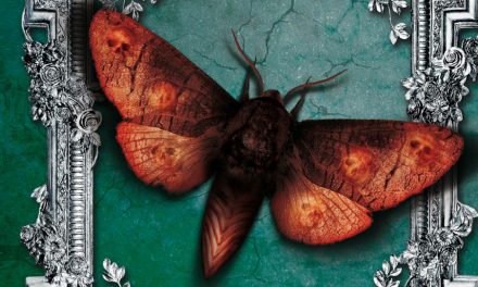 Ediciones Siruela presenta «Reckless: Sombras vivas»