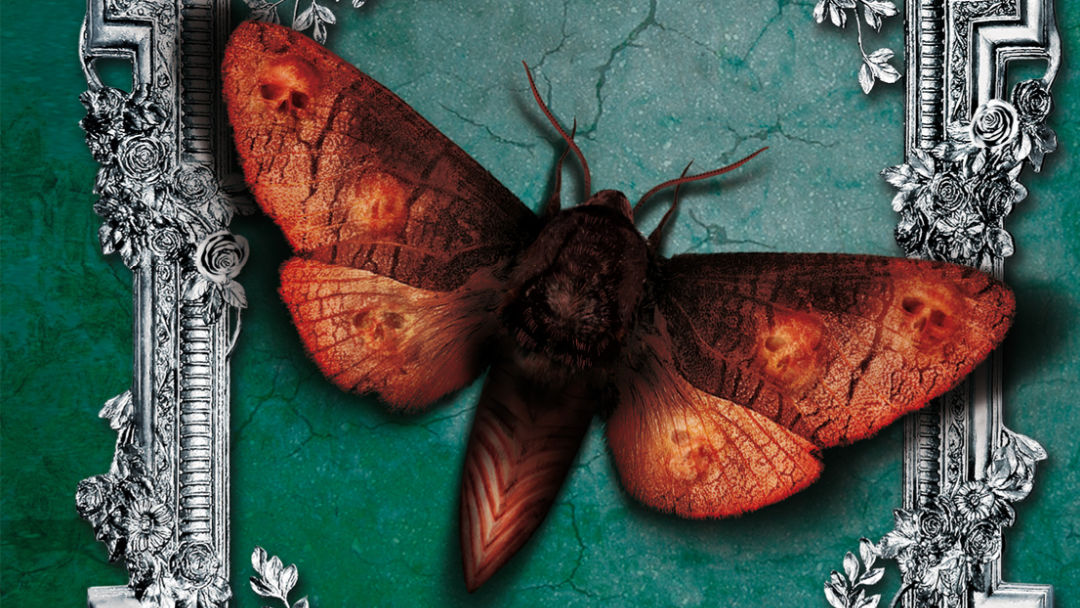 Ediciones Siruela presenta «Reckless: Sombras vivas»