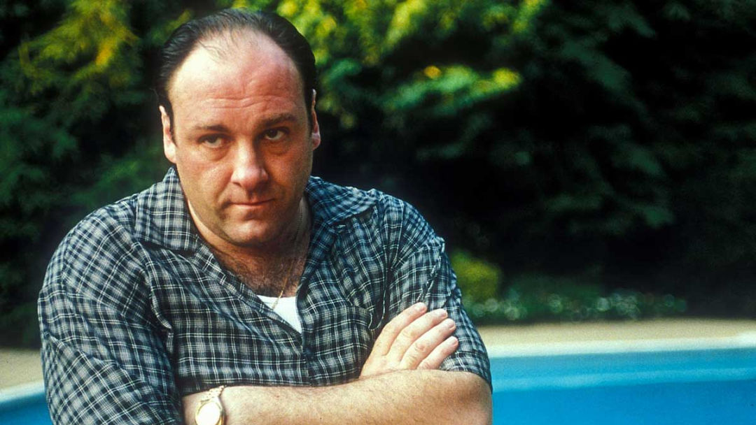 Adiós a James Gandolfini y a Tony Soprano