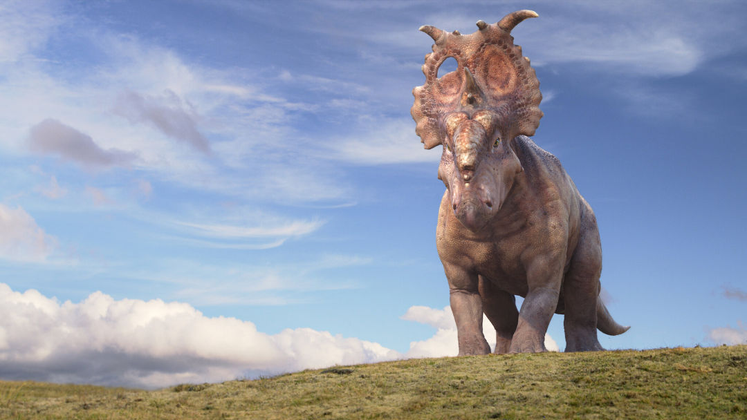 «Caminando entre dinosaurios»: En busca del valle encantado