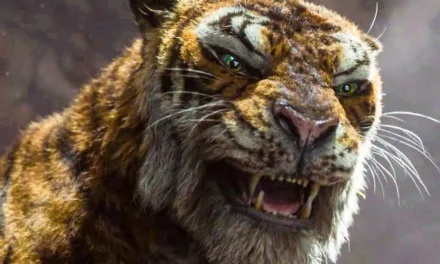 Un tigre muy flemático