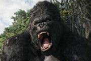 Un Dios de la Mentira para King Kong