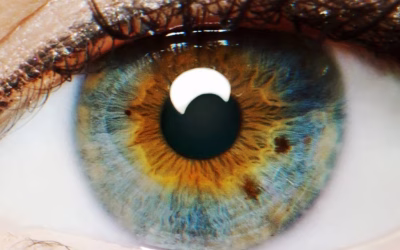 «I Origins» (Mike Cahill, 2014)