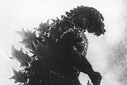 Omedetoo, Godzilla San