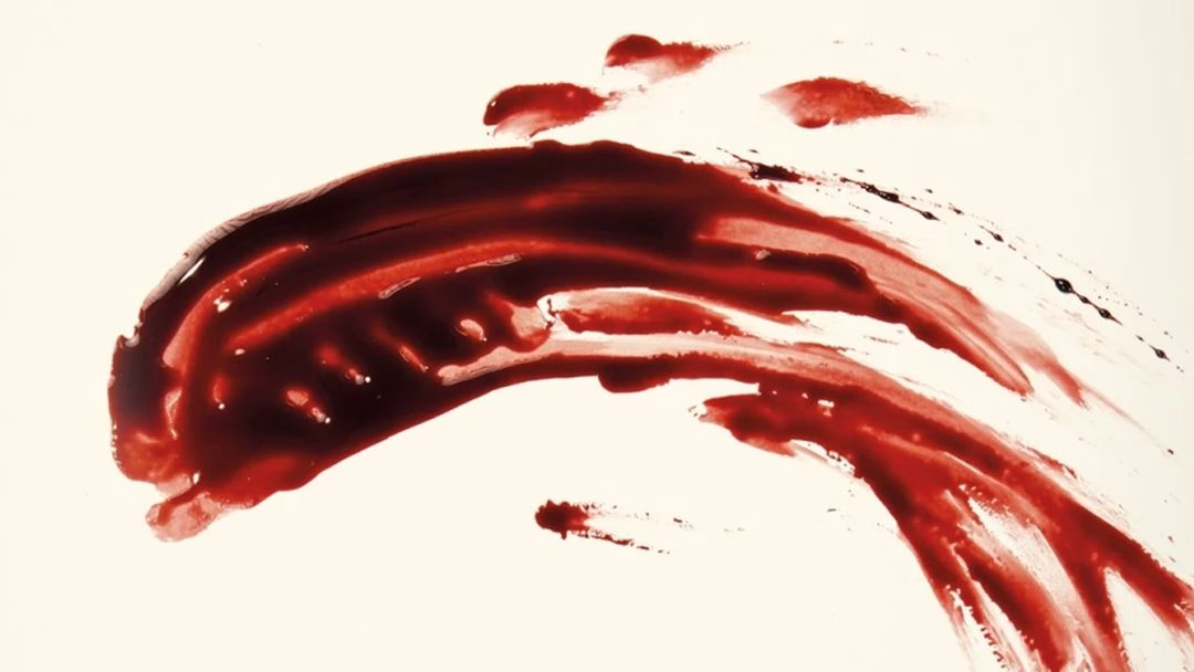 Los terribles xenomorfos, como nunca los habías visto