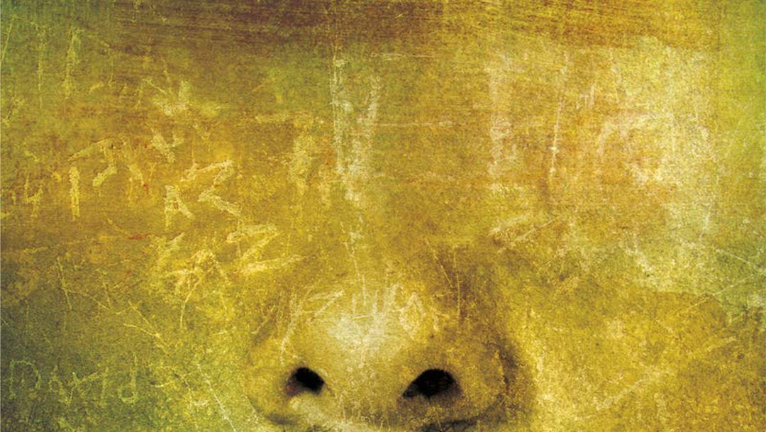 «8.38» (Luís Rodríguez, Candaya)