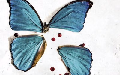 «El jardín de las mariposas» (Dot Hutchison, Planeta)