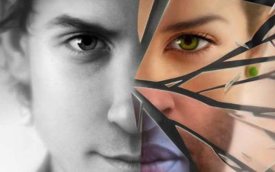 «Legión: Las múltiples vidas de Stephen Leeds» (Brandon Sanderson, Nova)
