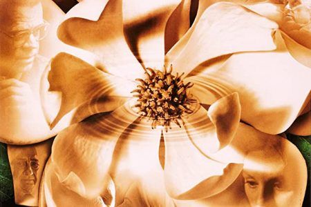 "Magnolia" (Paul Thomas Anderson, 1999) magnolia_destacada