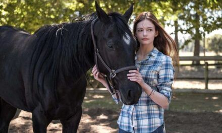 «Black Beauty»