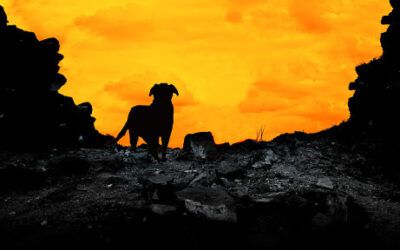 «Un chico y su perro en el fin del mundo» (C. A. Fletcher, Minotauro)