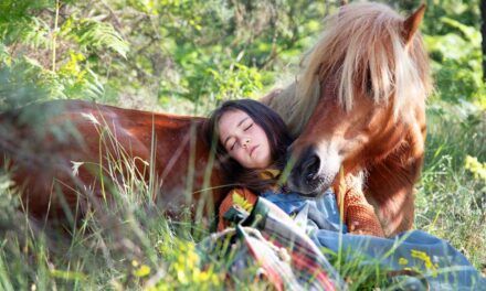 «Mi amigo Pony»