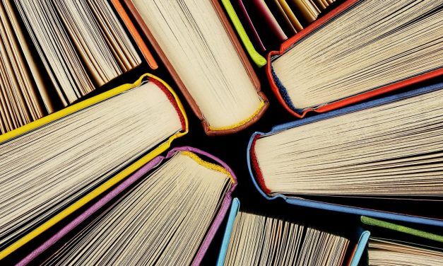 Catorce recomendaciones para el Día del Libro