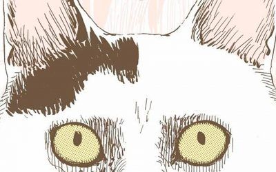 «Diario felino de Junji Ito: Yon y Mu» (Junji Ito, ECC Ediciones)