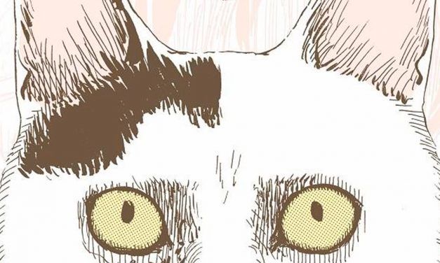«Diario felino de Junji Ito: Yon y Mu» (Junji Ito, ECC Ediciones)