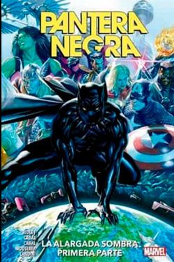 Pantera Negra vol. 01: La larga sombra