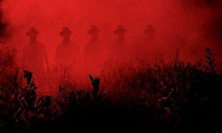 «Los chicos del maíz» (Fritz Kiersch, 1984)