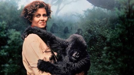 "Gorilas en la niebla" (Michael Apted, 1988) gorilasenlaniebla_destacada