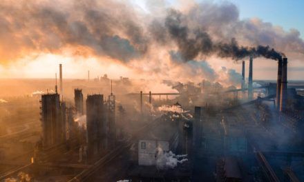 Diez lecturas para concienciar en el Día Mundial del Medio Ambiente