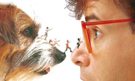 «Cariño, he encogido a los niños» (Joe Johnston, 1989)