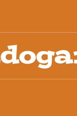 Fandogamia