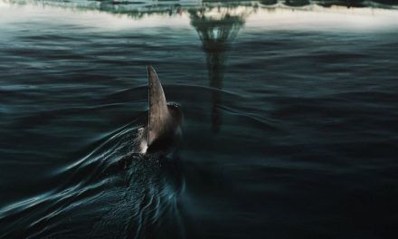«En las profundidades del Sena»