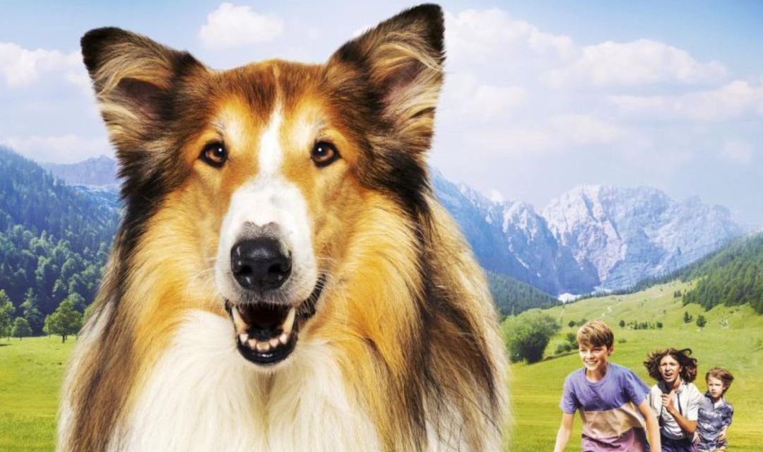 «Lassie»