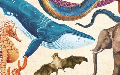 «Animales asombrosos. Un recorrido fascinante por la biodiversidad» (Museo Nacional de Ciencias Naturales, B de Blok)