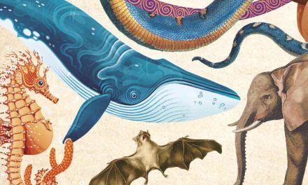 «Animales asombrosos. Un recorrido fascinante por la biodiversidad» (Museo Nacional de Ciencias Naturales, B de Blok)