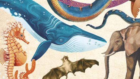 "Animales asombrosos. Un recorrido fascinante por la biodiversidad" (Museo Nacional de Ciencias Naturales, B de Blok) animalesasombrosos_destacada
