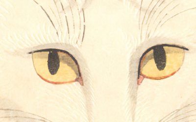 «La gata, Shozo y sus dos mujeres» (Tanizaki Junichiro, Satori Ediciones)