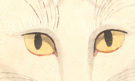 «La gata, Shozo y sus dos mujeres» (Tanizaki Junichiro, Satori Ediciones)