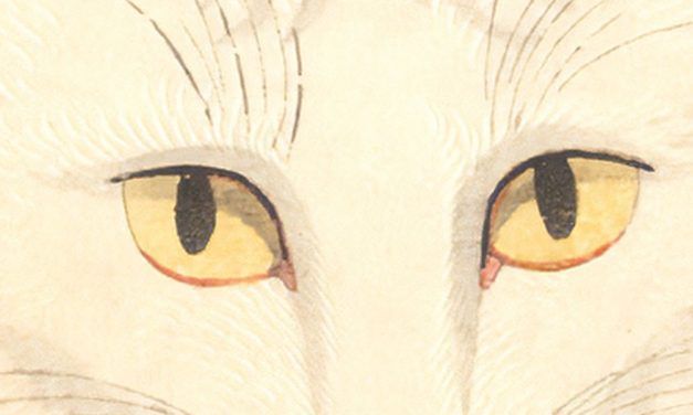 «La gata, Shozo y sus dos mujeres» (Tanizaki Junichiro, Satori Ediciones)