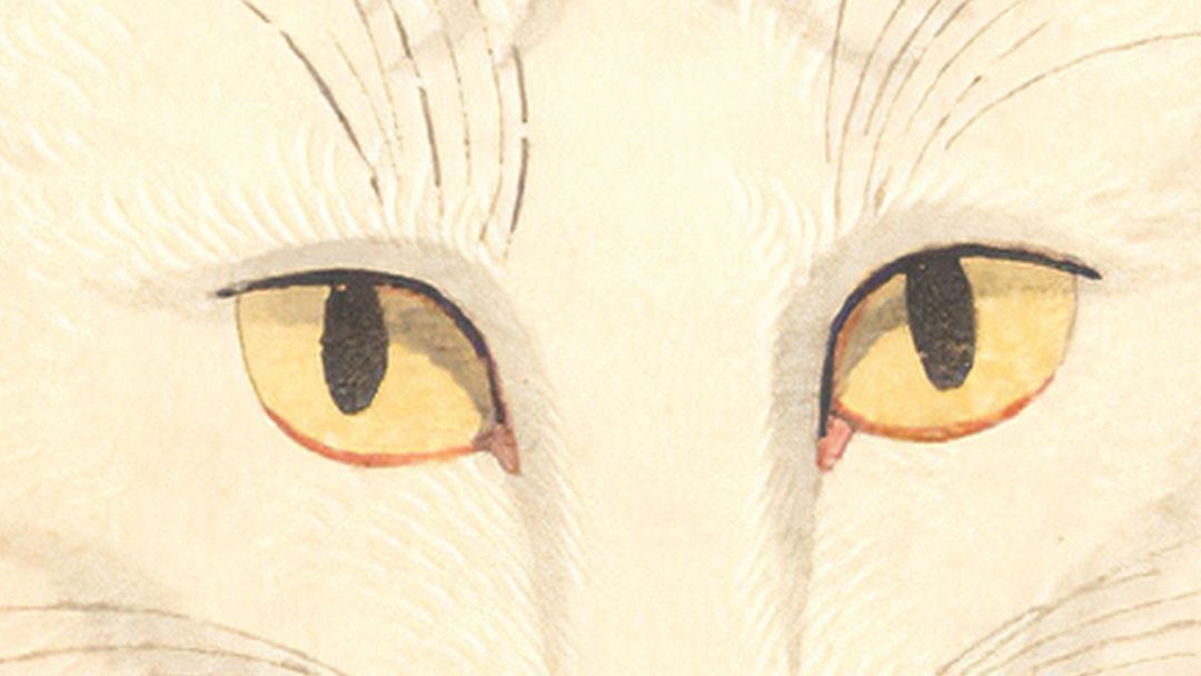 «La gata, Shozo y sus dos mujeres» (Tanizaki Junichiro, Satori Ediciones)