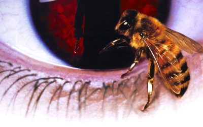«Candyman» (Bernard Rose, 1992)