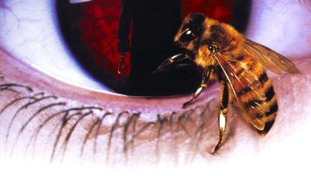 "Candyman" (Bernard Rose, 1992) Candyman