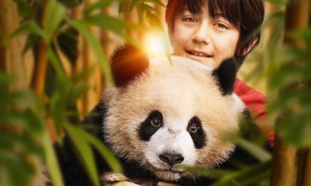 «Moon, mi amigo panda»
