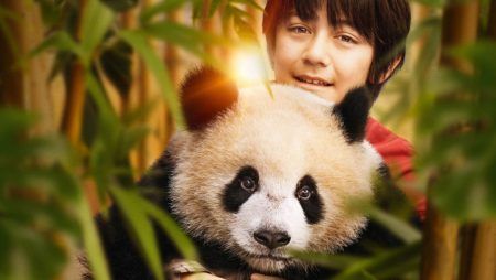 "Moon, mi amigo panda" moon_destacada