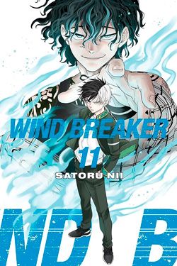 Wind Breaker 11